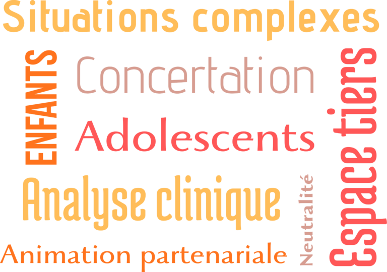 Les étapes de la méthode D-CLIC 12 : de l'analyse de la demande à la réunion de concertation pluripartnariale.