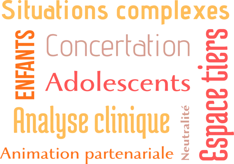 Les étapes de la méthode D-CLIC 12 : de l'analyse de la demande à la réunion de concertation pluripartnariale.